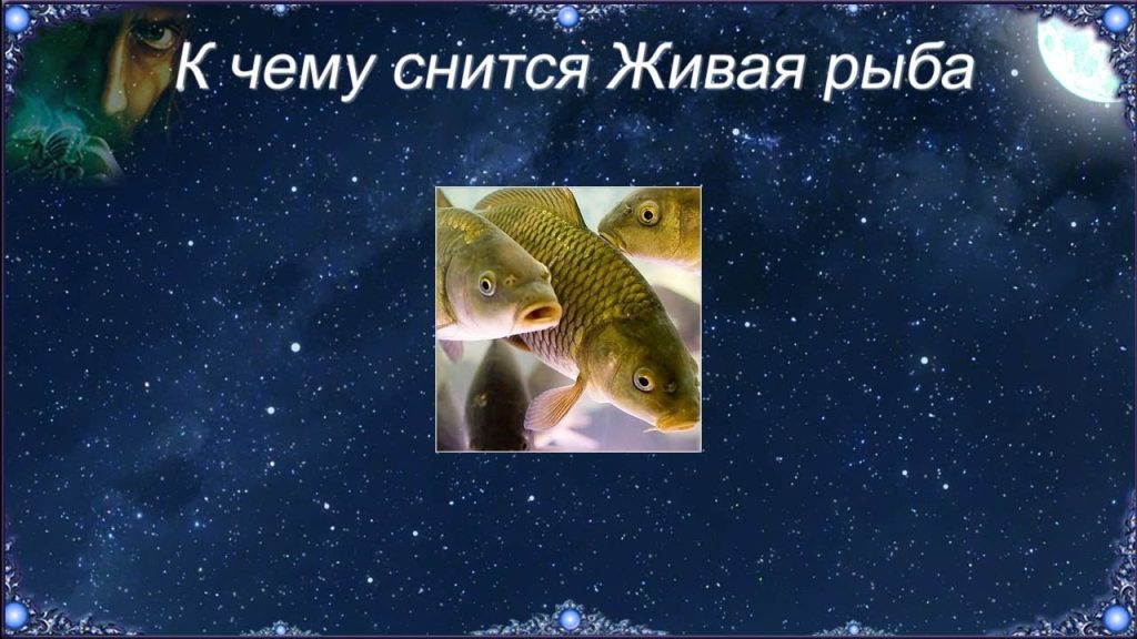 К чему снится большая рыба женщине