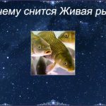 К чему снится большая рыба женщине