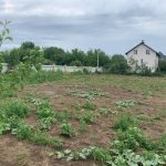 На якій відстані від межі можна будувати сарай