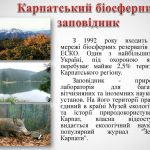 Що таке біосферний заповідник простими словами?