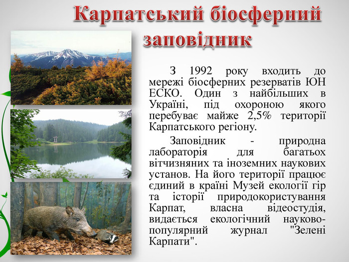 Що таке біосферний заповідник простими словами?